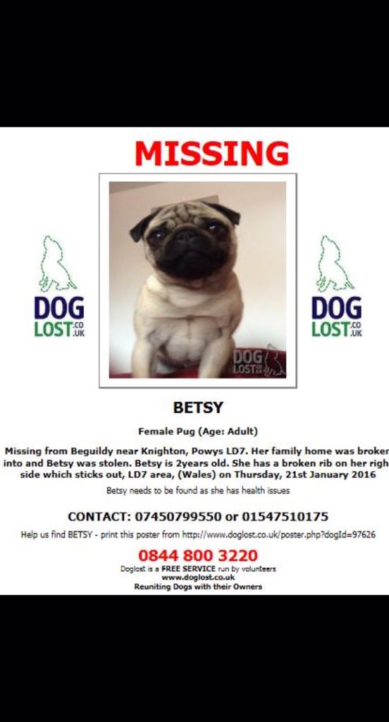 BringBetsyHome's tweet photo. @BarnLodgeVets Still missing. Please follow &amp; RT. Look out 4me #fits #broken rib #stolen #Beguildy #Powys #ld7 https://t.co/3RFPLk7ZVj