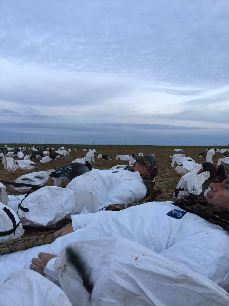 DFWOutdoorsman's tweet photo. Feel like we are in an episode of @CSI_CBS! Gotta love the West Texas goose hunt #honkerhunting https://t.co/oKXe6MRUpp