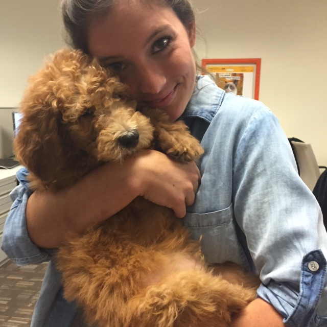 PetSmart tweet media