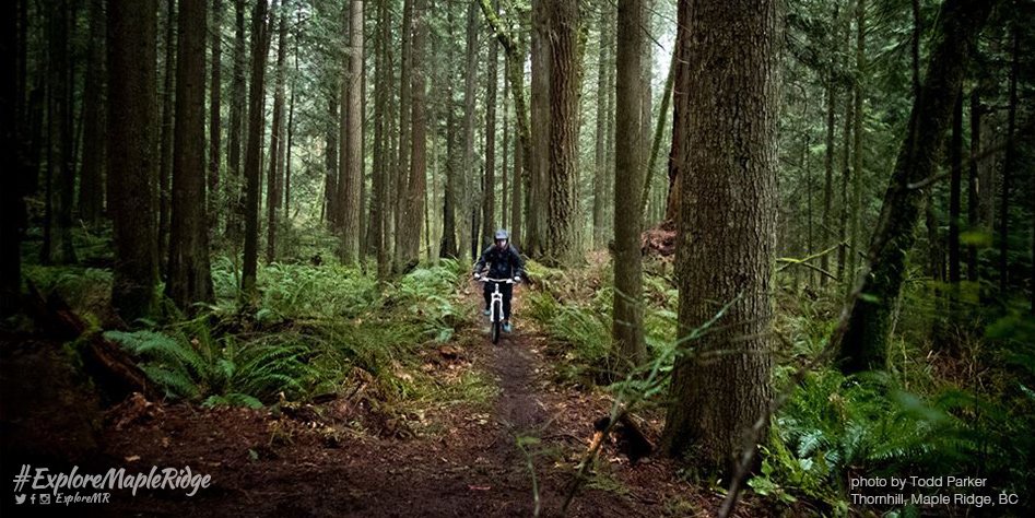 On days like today I dream of a clear day to go #mountainbiking...
Check out Thornhill: ow.ly/Xze7t