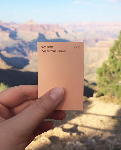 sw_jamaica's tweet photo. Windswept Canyon (SW 9010) #Travel #GrandCanyon #SWColor #SherwinWilliams https://t.co/NYAp56J8XE