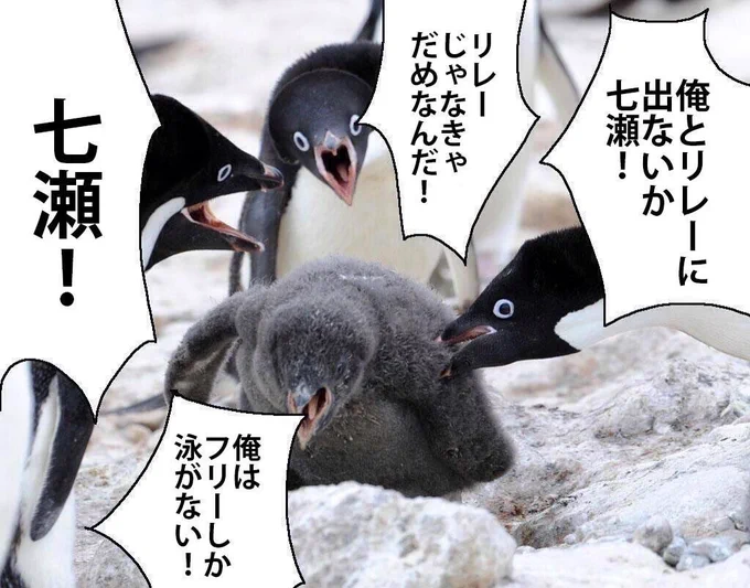 画像振り返ってたら2013年頃に流行ったペンギンコラをFree!で作ったのが出てきたよ。懐かしい〜 