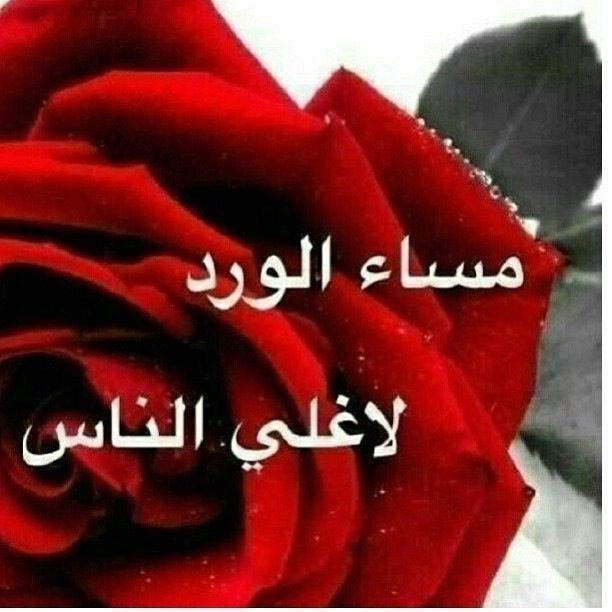 de5ef8999f2e4ea's tweet photo. https://t.co/zGuNMfM8pP