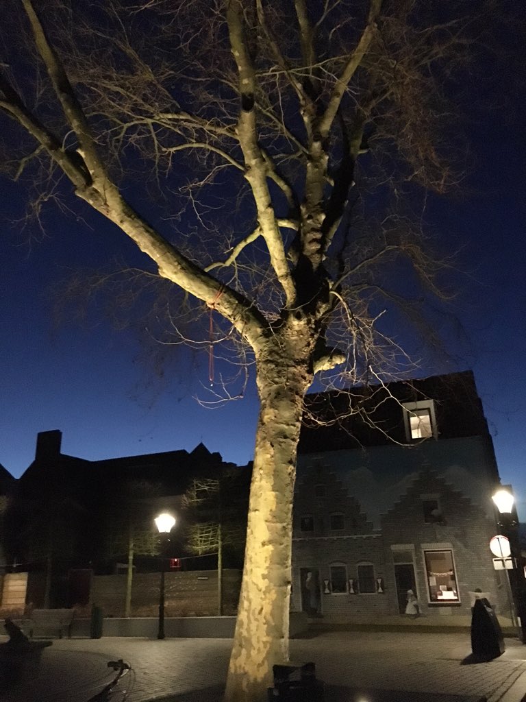 Sturm_Makelaars's tweet image. En we zijn weer onderweg voor een inverkoopname de vijfde deze week #Sturm #Makelaars #Zierikzee 💪👍