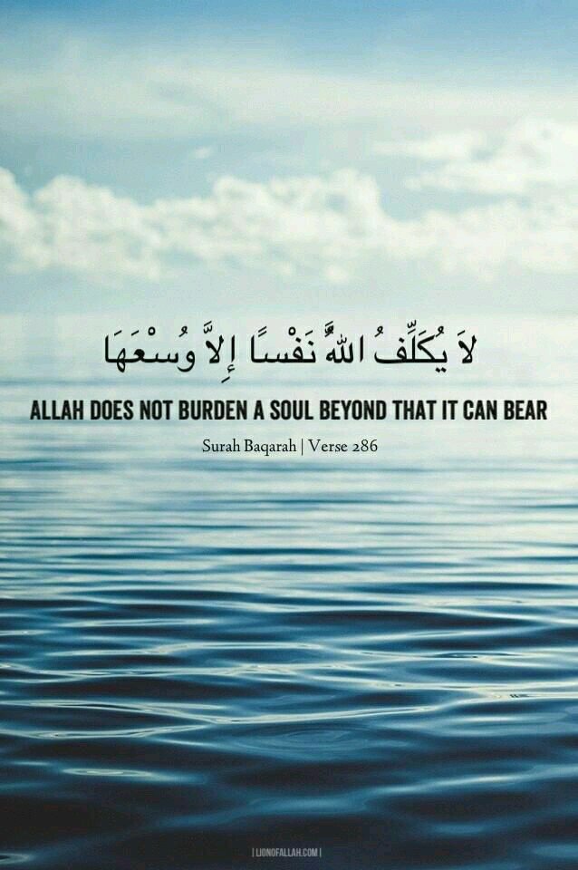 MuslimForLife_'s tweet photo. Allah gives the hardest battles to His strongest soldiers ☆ https://t.co/yLK5ur93g8