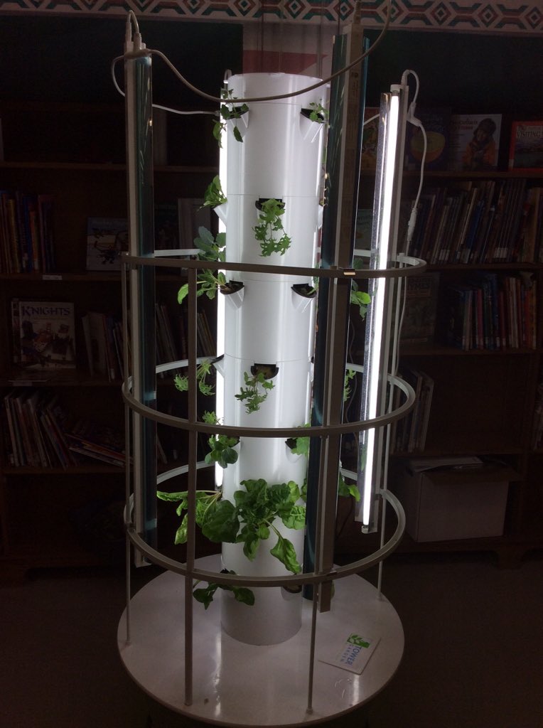 whiteoakspeel's tweet photo. What's growing in our Tower Garden? Looks like we will be able to enjoy some delicious freshly grown foods soon! https://t.co/JDNuOJZms7