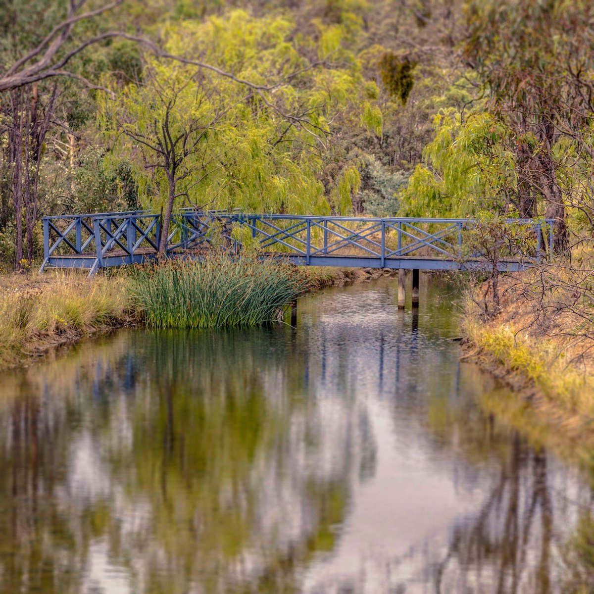 An ode to Monet.. Experience more of 68 Powell Dr, Carwoola by visting luton.com.au #picoftheweek #monet