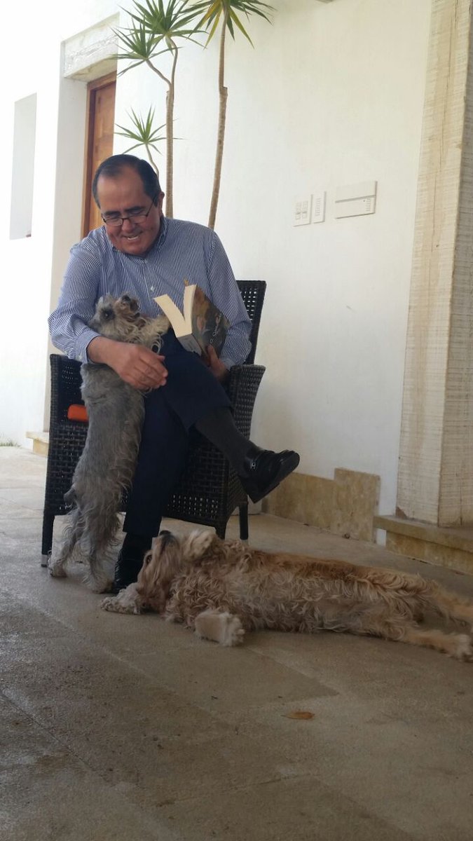 ArellanoAgs's tweet photo. "Un país, una civilización se puede juzgar por la forma en que trata a sus animales."- Mahatma Gandhi. https://t.co/1r4K2xEz2l