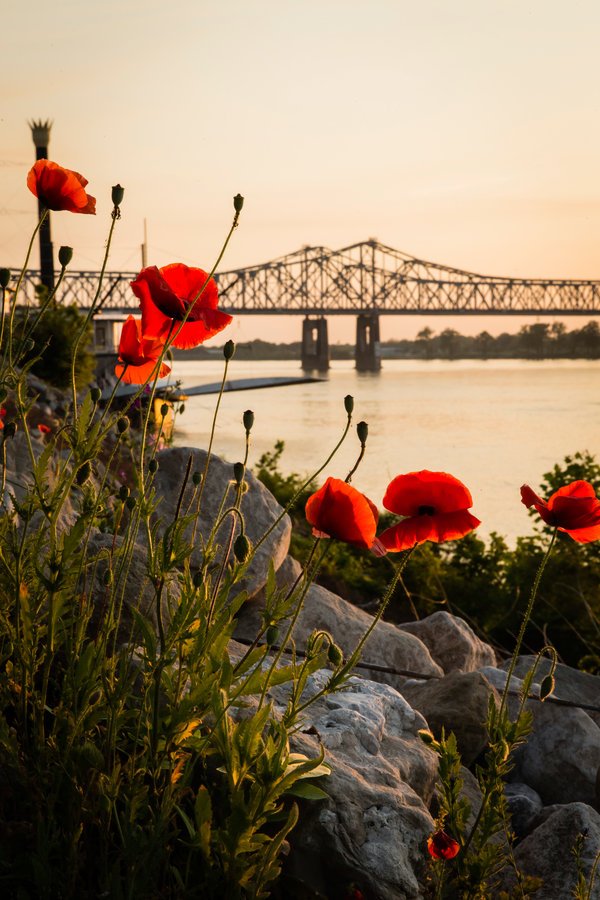 visitnatchez's tweet image. Natchez, MS was just named on @Southern_Living's list "50 Best Places in the South Now!" bit.ly/1Plyw2x