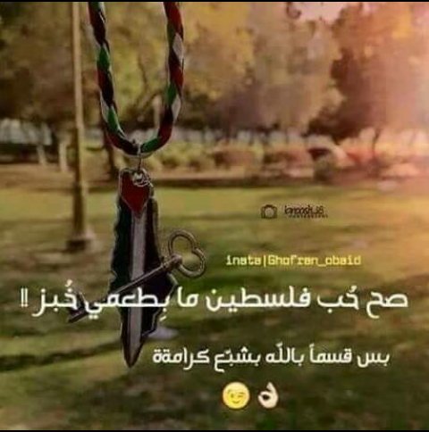 de5ef8999f2e4ea's tweet photo. https://t.co/HU5CGgzeh2