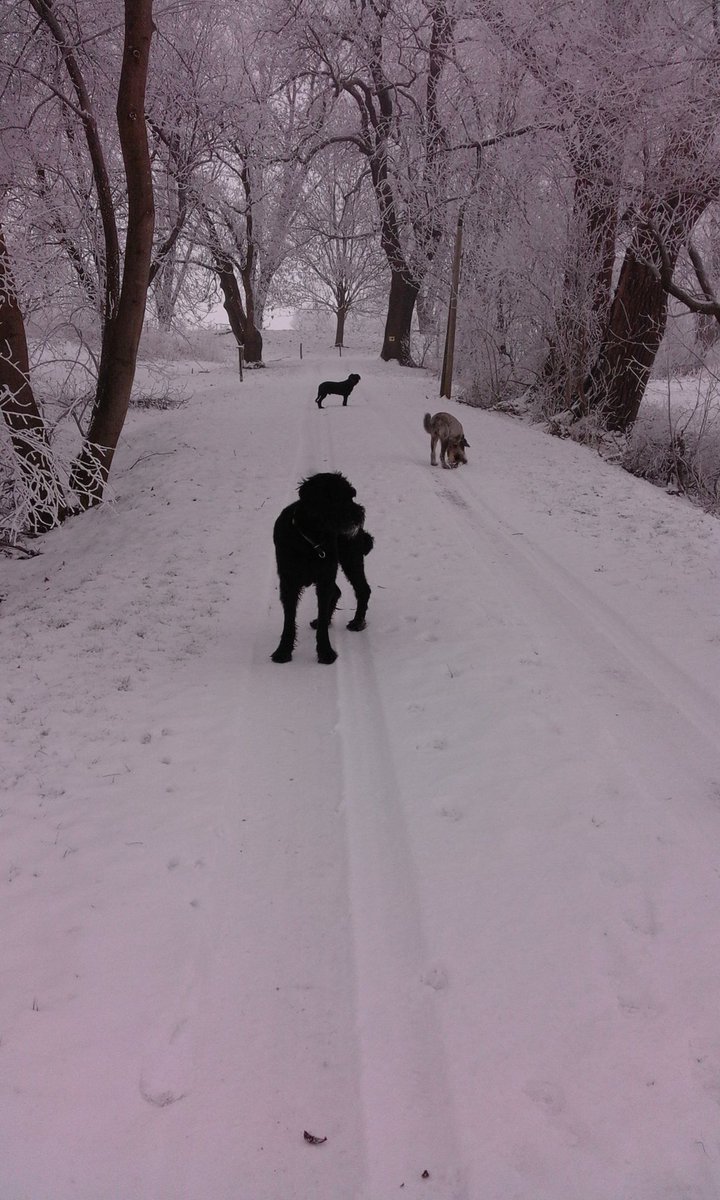 My little Zombies 😁