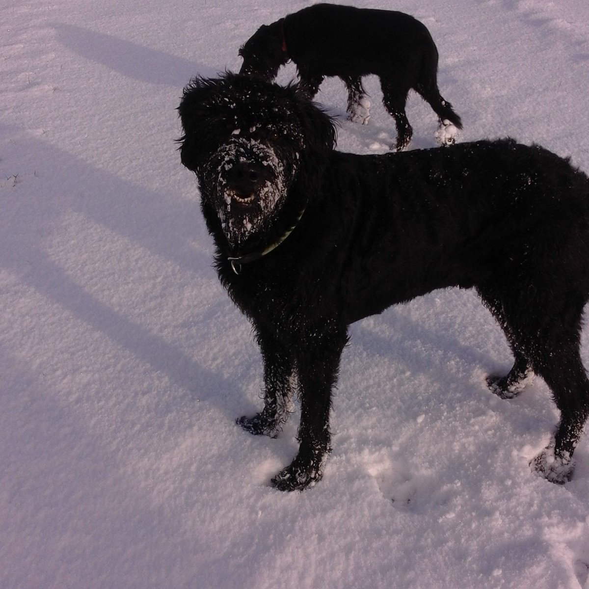 Jörg Schlüter (@js_jrg) on Twitter photo 