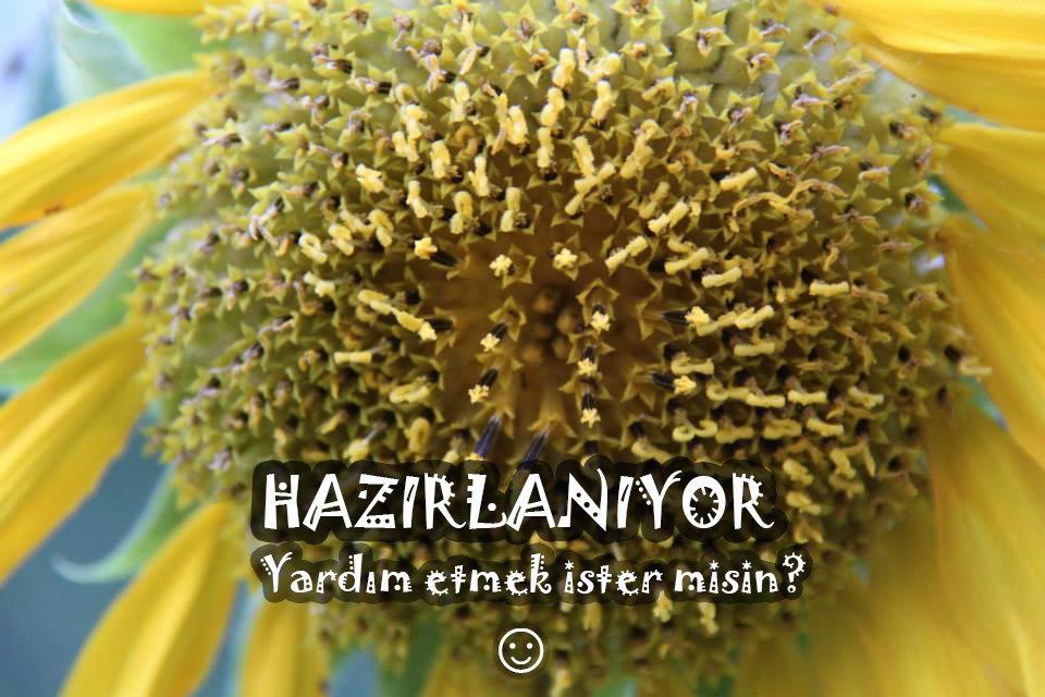 kuzeyormanlari's tweet photo. Bostandan pazara çiftlikten kolektife EkoHarita yayında. Eşi dostu ekle, birlikte büyüsün.. https://t.co/haT6wltJ2C https://t.co/vg9Xc9rEG3