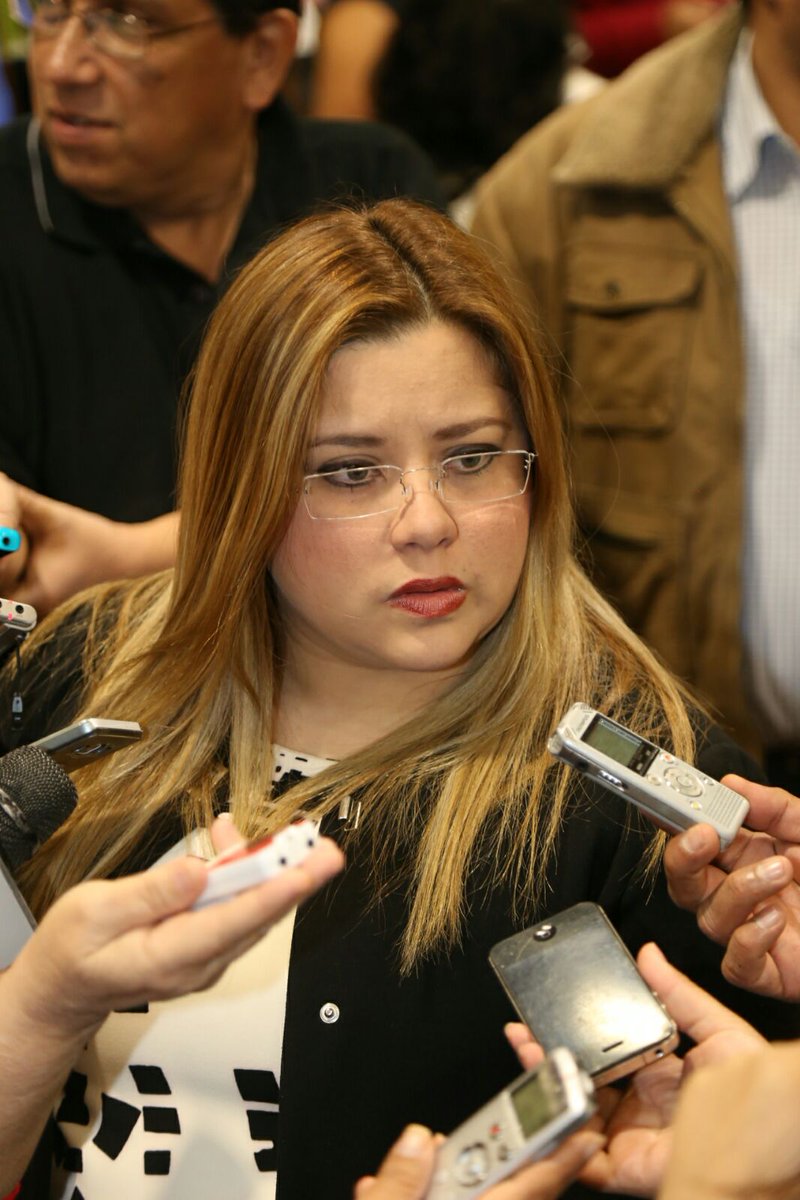 GLPANVer's tweet photo. La diputada @anacristinalede no descarta que gasera compra permisos para instalar ducto https://t.co/7pq9cqFfYb https://t.co/gLBzb4wObo