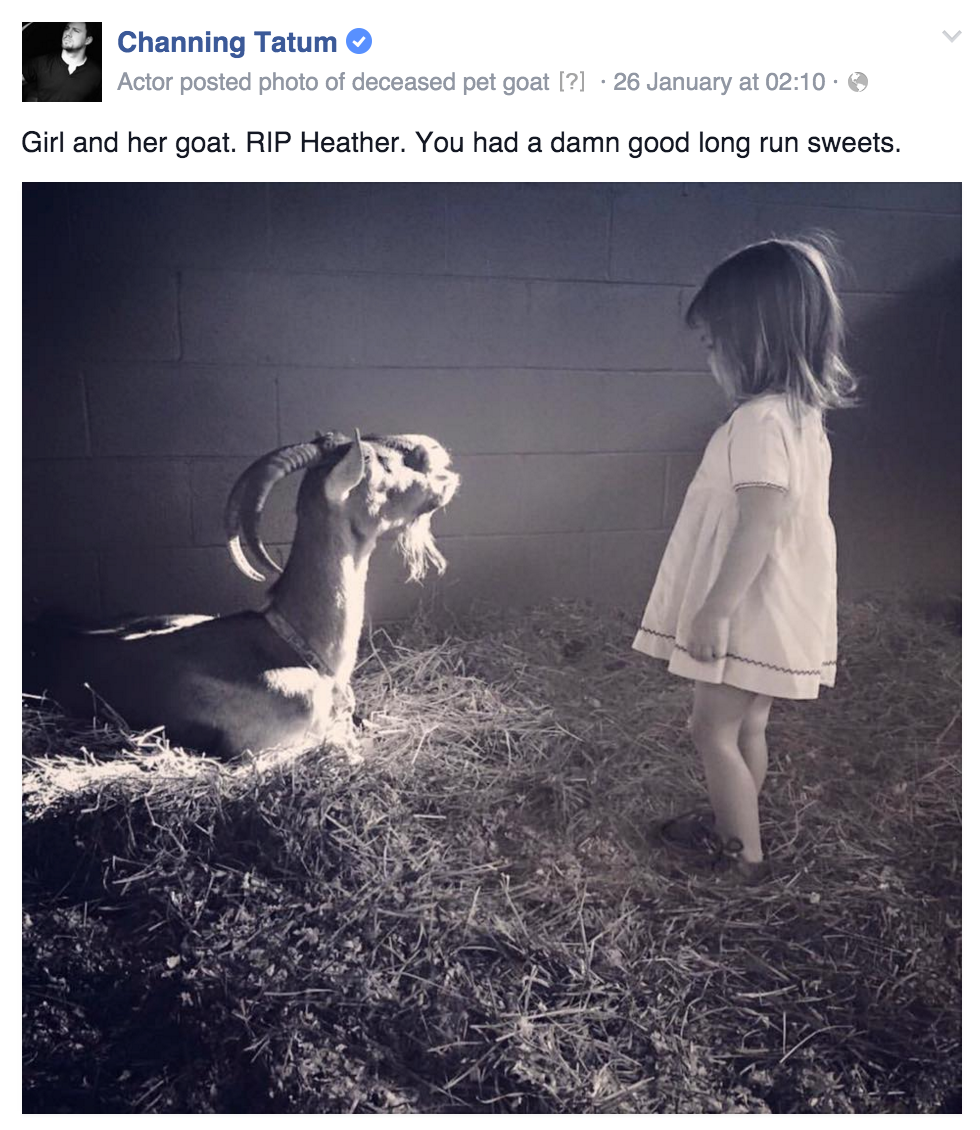 gracemmcguire's tweet photo. @channingtatum My deepest condolences social media can provide. So sorry for your loss. #SMPASocial https://t.co/AfNkcqWi75