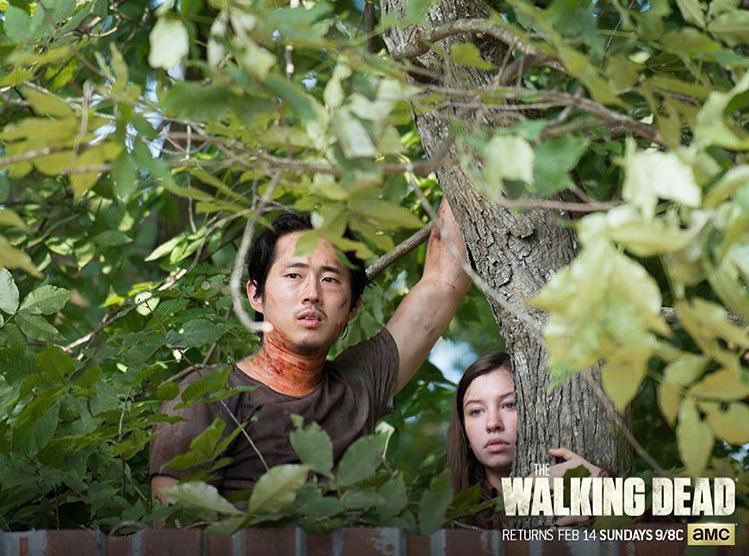++ #TheWalkingDead RETURNS FEB 14 SUNDAYS 9/8C!!! #AMC #Fox ++