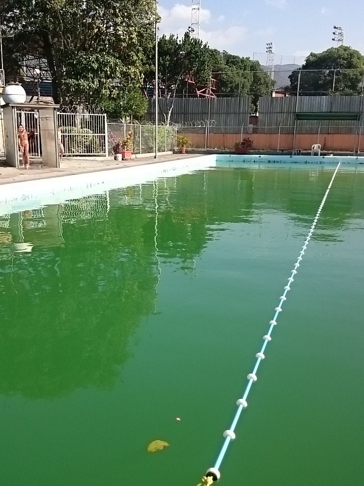 Selección Nacional de Aguas Abiertas no puede entrenar por falta de piscina