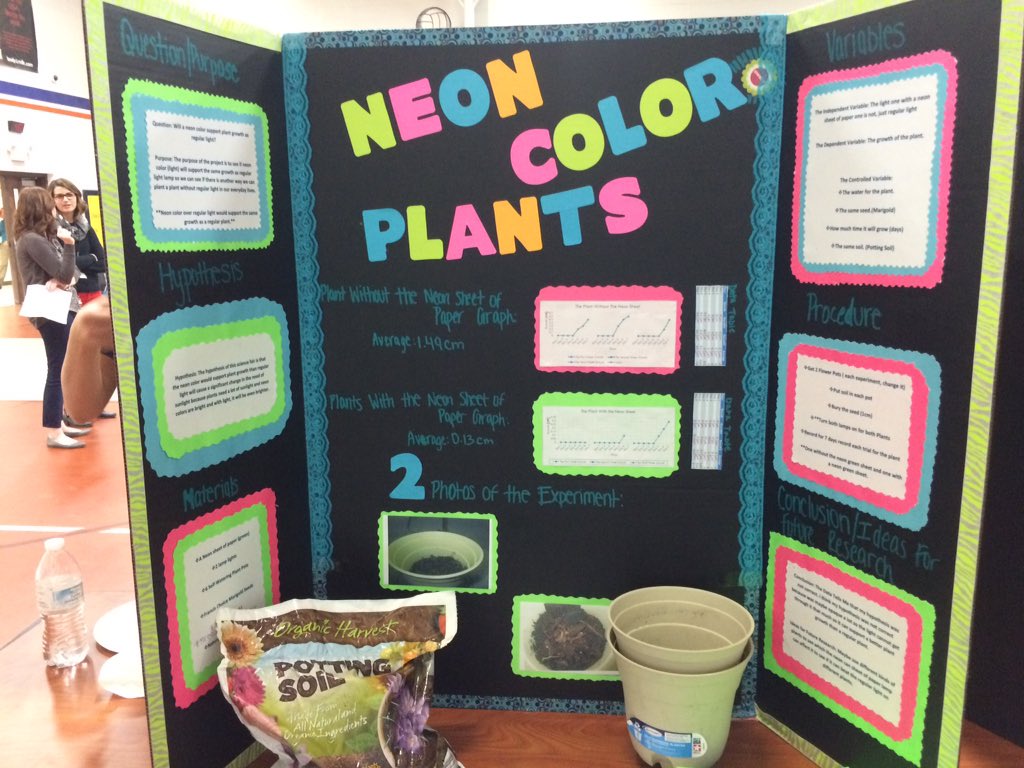 AliefScience's tweet photo. Kids worked very hard to be ready to show off their learning #aliefsciencefair https://t.co/Q5qGE9nW3V