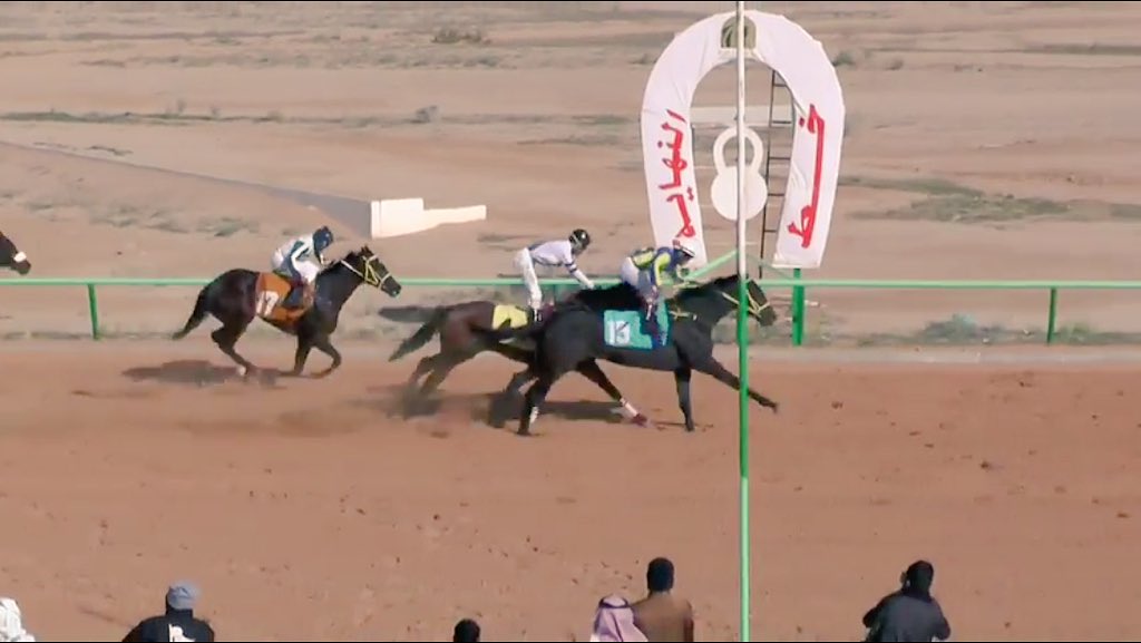 الحمدلله تأهل الجواد قادم العز لنهائي عز الخيل وهو ملك للاخ نايف غزاي بن حليمه وتدريبي
 
youtu.be/WyX6A7PR550