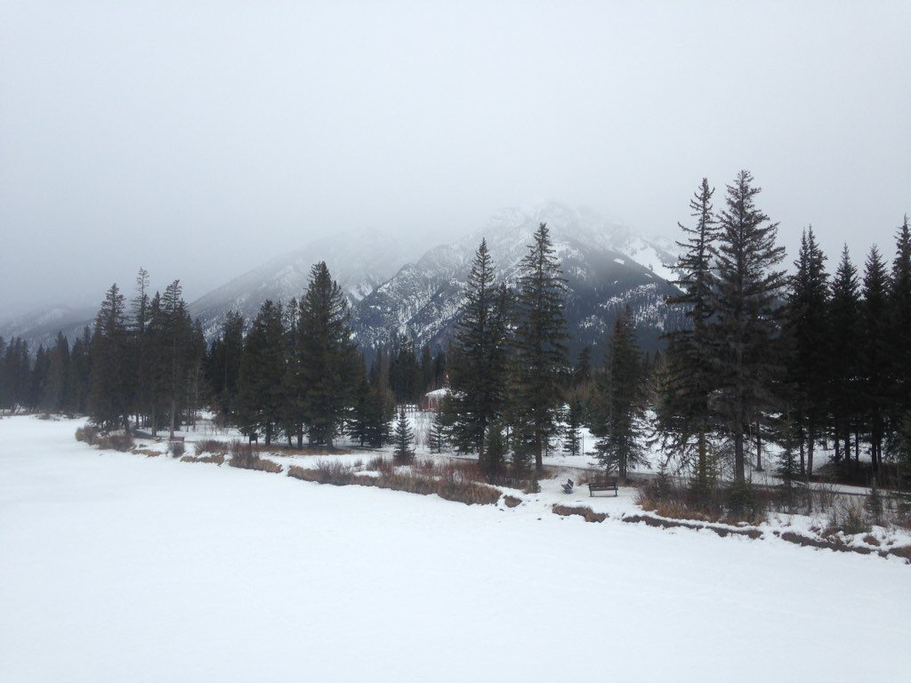 dhami_td's tweet image. Lazy day hanging out downtown #Banff #awesomescenery #beautifulpeople #nothoughtsofwork LOL