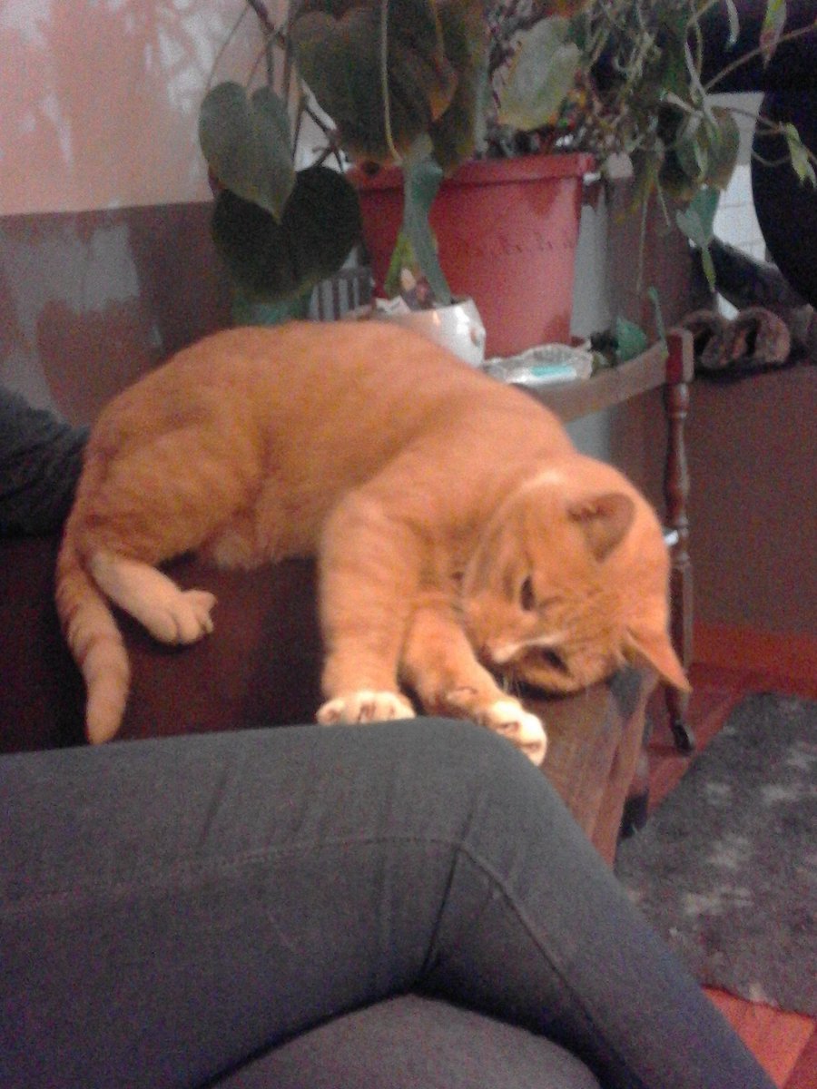 Jörg Schlüter (@js_jrg) on Twitter photo 