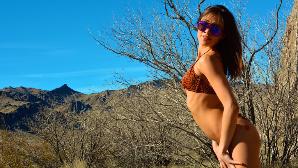 BrattyChicks's tweet image. #valleyoffire #vegasbaby #itsreallycold #newbarbie #AdultWork #bikinibody clipsforsale.com/80181