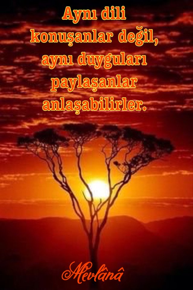 zhraaaa45's tweet photo. Aynı dili konuşanlar değil,aynı duyguları paylaşanlar anlaşabilirler.! https://t.co/ihbuxKoldI