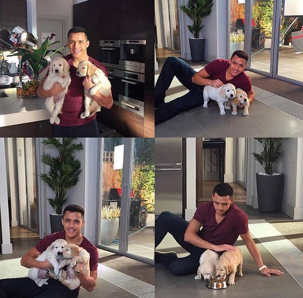 Footballtweet's tweet photo. Alexis Sánchez being Alexis Sánchez. https://t.co/WI4a2z5bSs