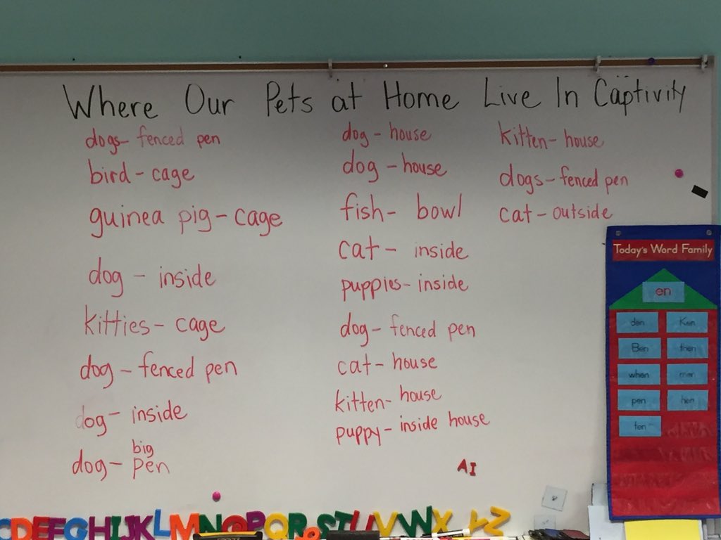MrsBelksClass's tweet photo. Pets at home in captivity #hlesqotw https://t.co/xj7kNSBUZ2