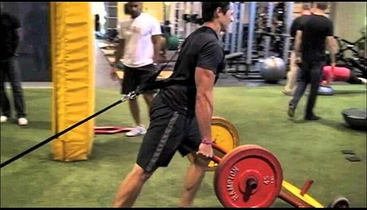 #extreme #fitness #training #sled #pull #sledbarrow #lifting #carry #push #fitspo #athlete #male #model