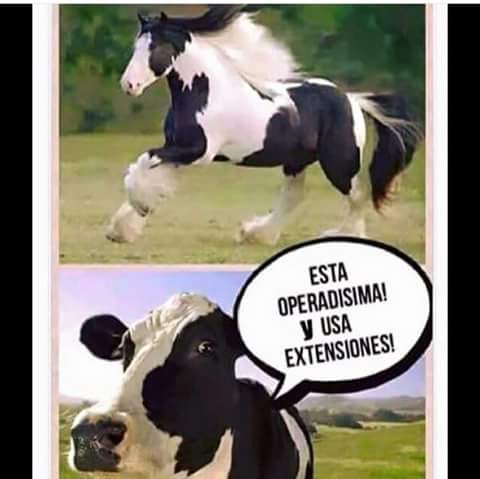 pithermp's tweet image. Jaja