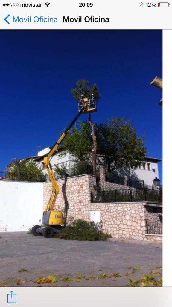 ForestAlcarr's tweet photo. Trabajos de poda y tala en Altura https://t.co/5TWdaPzgcY