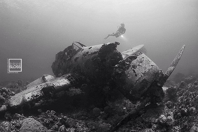 dougsloss's tweet photo. Diving Palau's famous Jake Seaplane 🇵🇼🏝🌏 #jakeseaplane #palau #scuba #scubadiving #diving … https://t.co/pVp7Kkui5p https://t.co/ISLXvYQI47