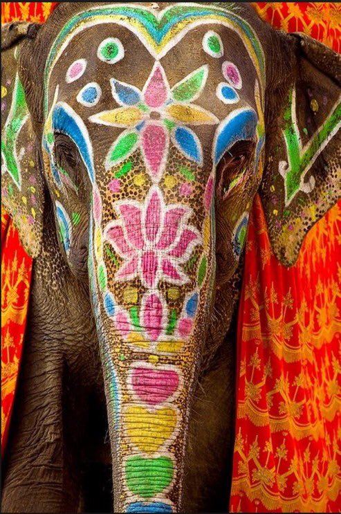 BohoDiary's tweet photo. So pretty 🐘😍 https://t.co/uZKOWhi9QN