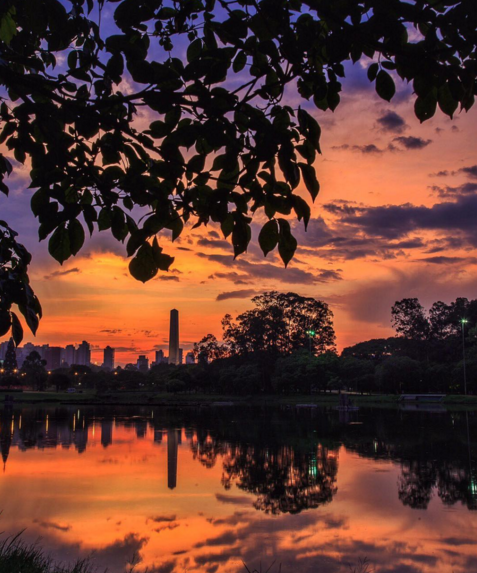 spdagaroa's tweet photo. Nascer do sol do Parque Ibirapuera https://t.co/gTU055ZNm6