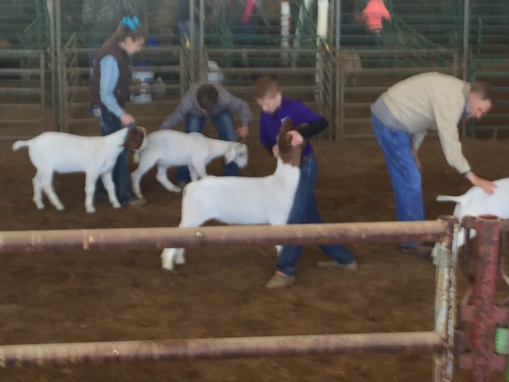 dlgregory2's tweet photo. FWSSR...HK Showteam has arrived and we are locked and loaded! https://t.co/bUvLlE00FJ
