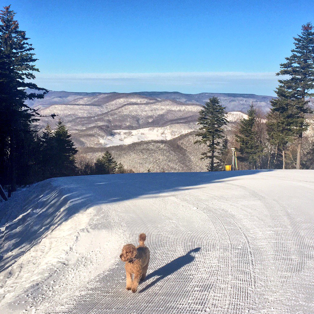 KristinFisher's tweet image. Historic Blizzard --&amp;gt; Last minute solo ski trip to Snowshoe, West Virginia 🎿