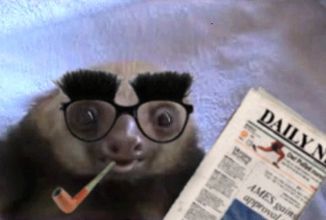 UnwinderH's tweet photo. Please share Sloth Dad whenever you deem it appropriate. #SlothDad #YearOfContent https://t.co/oe2dgagjS8