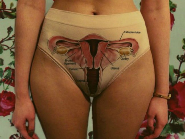 Cepcovi's tweet photo. OMGYES. ¿La nueva biblia del orgasmo femenino? https://t.co/asVWnrwgP2 https://t.co/utPr57Nsf1
