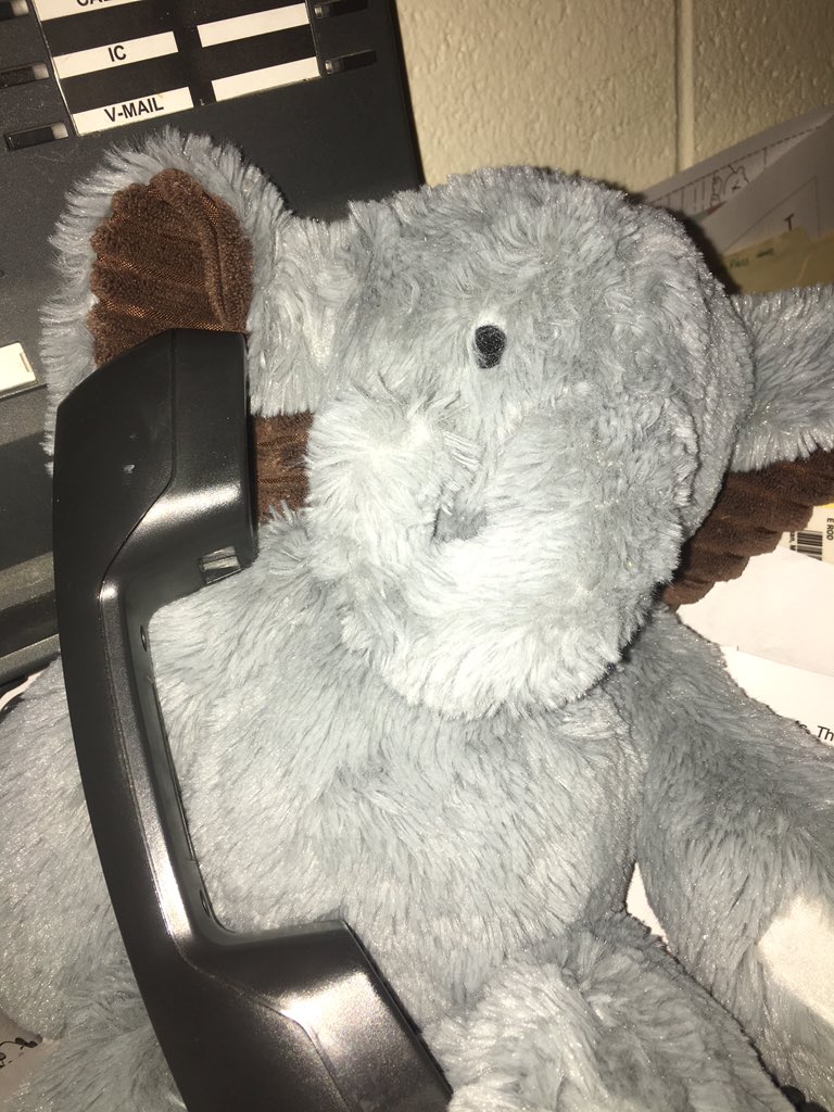 Our furry friends after school hours!