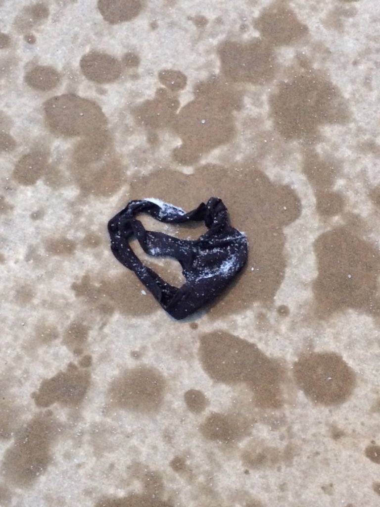 NPGOfficial's tweet photo. Panties on the street. #wtf #giggity #greatfinds https://t.co/fjKBOCBlV9