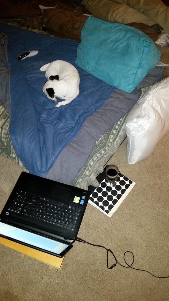 krod8273's tweet photo. I swear she knows exactly where I'm about to sit &amp; that I will totally contort myself around her. 😊 #PrincessKhloe💗🐾 https://t.co/3y2ktTJe0r