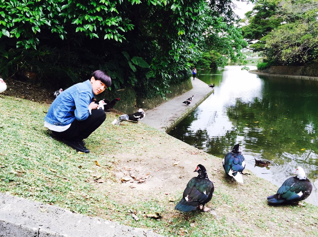 shfly3424's tweet photo. 오리야 나랑노~올자 🦃 https://t.co/wckaHBIjep