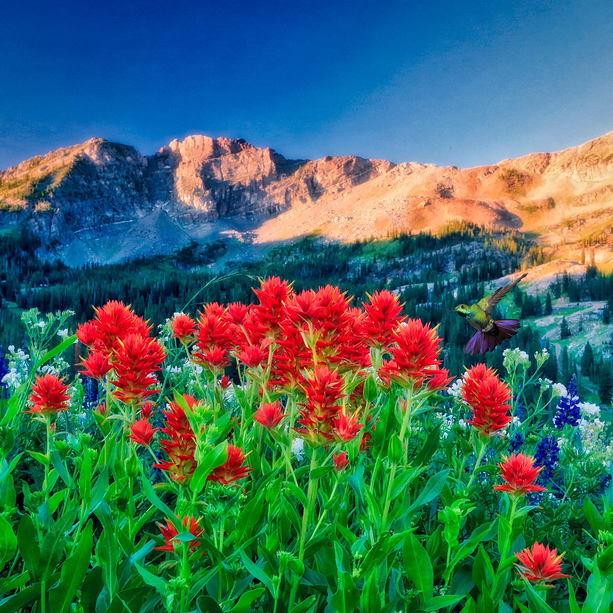 Naturespace tweet media