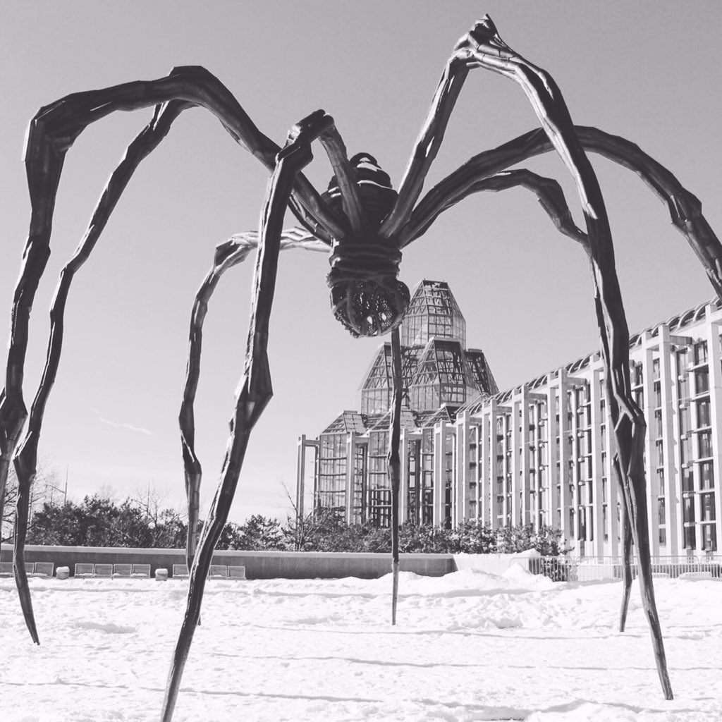 KaylaMeyer613's tweet photo. loving the winter light @gallerydotca so photogenic! #ottawa #maman https://t.co/U02ZR68l8o