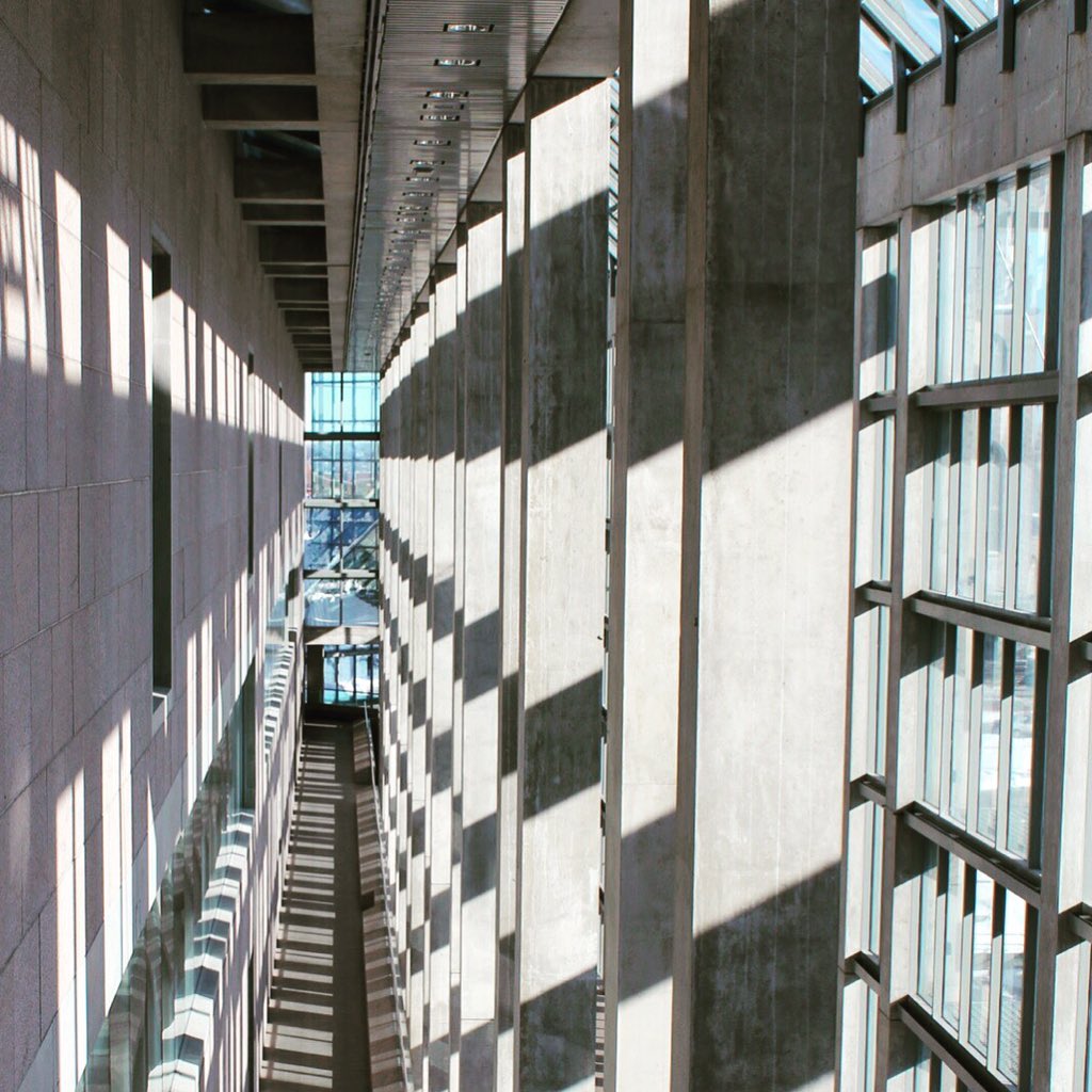 KaylaMeyer613's tweet photo. loving the winter light @gallerydotca so photogenic! #ottawa #maman https://t.co/U02ZR68l8o