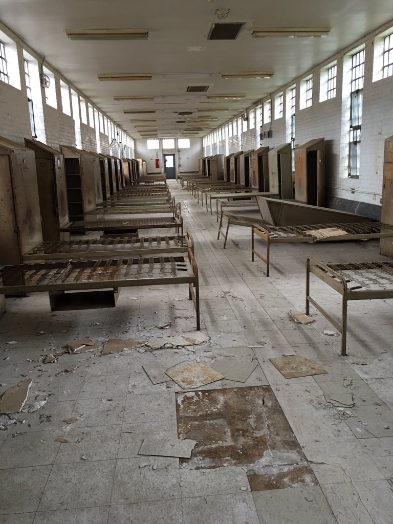 Progress Env tweet media