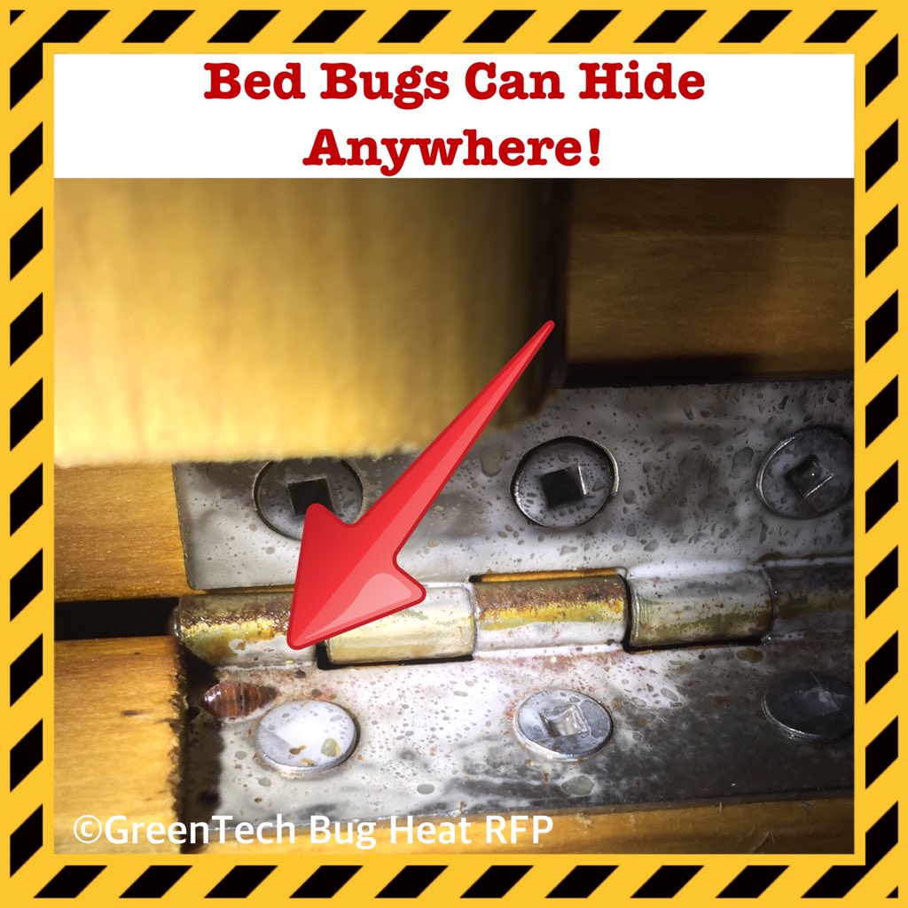 #Bedbugs can hide anywhere‼️
See why our bed bug heat treatment is the best in #Toronto 
goo.gl/RHfXUm