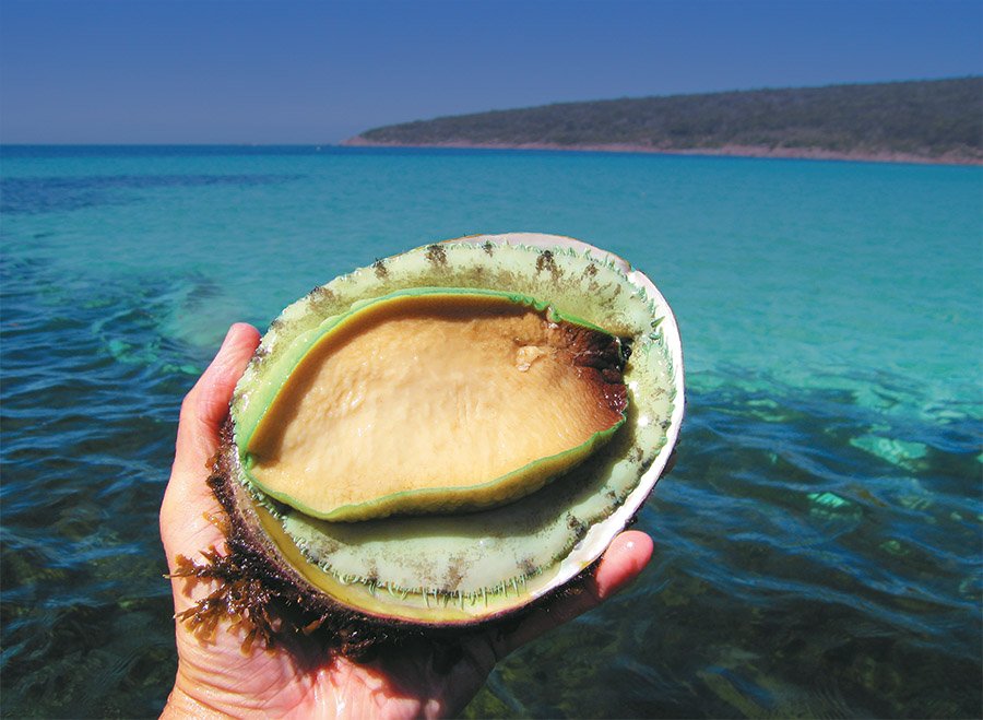 Kickass Products tweet media