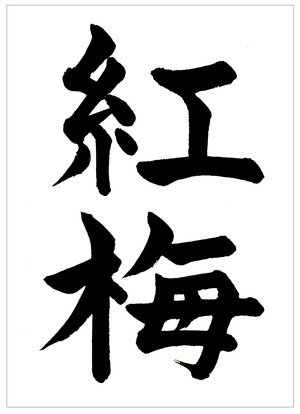 書道家 東宮たくみ チャンネル登録者80 4万人 Twitterren 梅が咲くと春を実感しますよね 2月向け楷書手本 紅梅 こうばい をアップしました 書道習字ペン字お手本見本 筆ペン名前も取り放題 2月向け書道習字楷書手本 紅梅 こうばい T Co 書道家 東宮たくみ チャンネル登録者80 4万人 Twitterren 梅が咲くと春を実感しますよね 2月向け楷書手本 紅梅 こうばい をアップしました 書道習字ペン字お手本見本 筆ペン名前も取り放題 2月向け書道習字楷書手本 紅梅 こうばい T Co